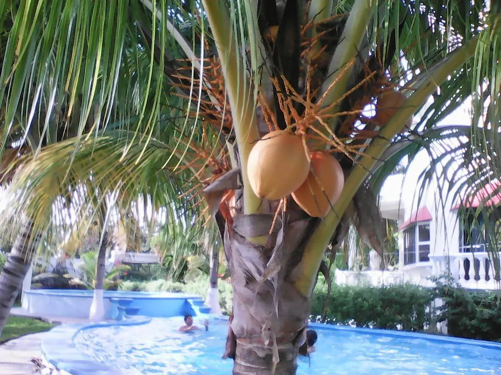 Mansion Giahn Bed & Breakfast Cancun Mexico